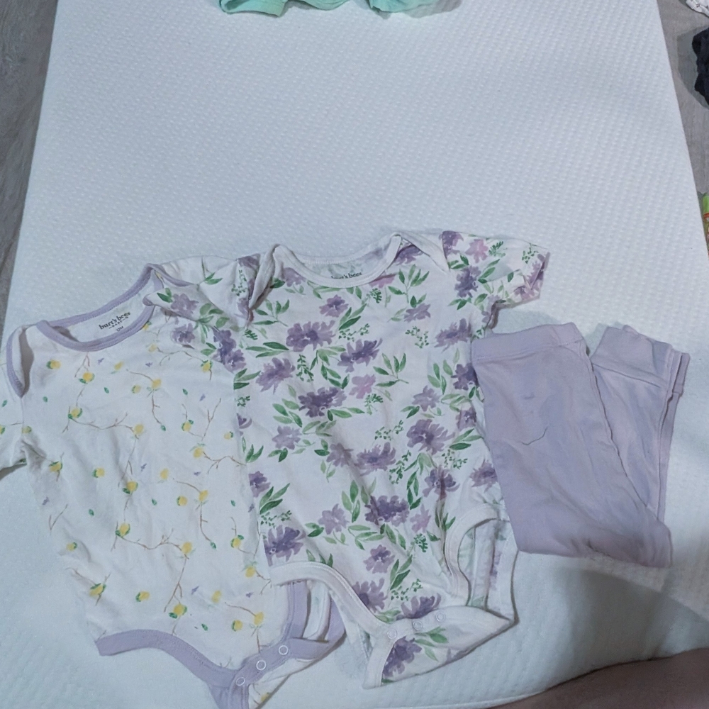 Burt's Bees Baby Lemon & Lavender Printed Onesie Set